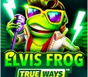 Elvis Frog